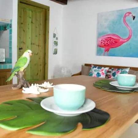 Holiday home Jungle House Flamingo