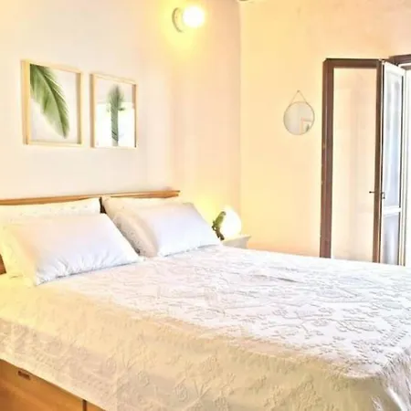 Jungle House Flamingo Holiday home